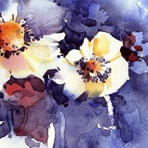 Meet your Posher, Anne